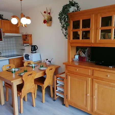 Appt Cozy 5 Pers, 300m Pistes, Parking, Animaux Admis - Fr-1-241-164 *